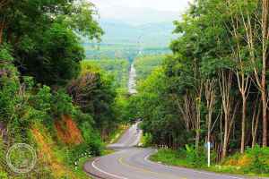 โครงการประกวดภาพถ่ายสายทางและสะพานกรมทางหลวงชนบท (ระดับประเทศ)